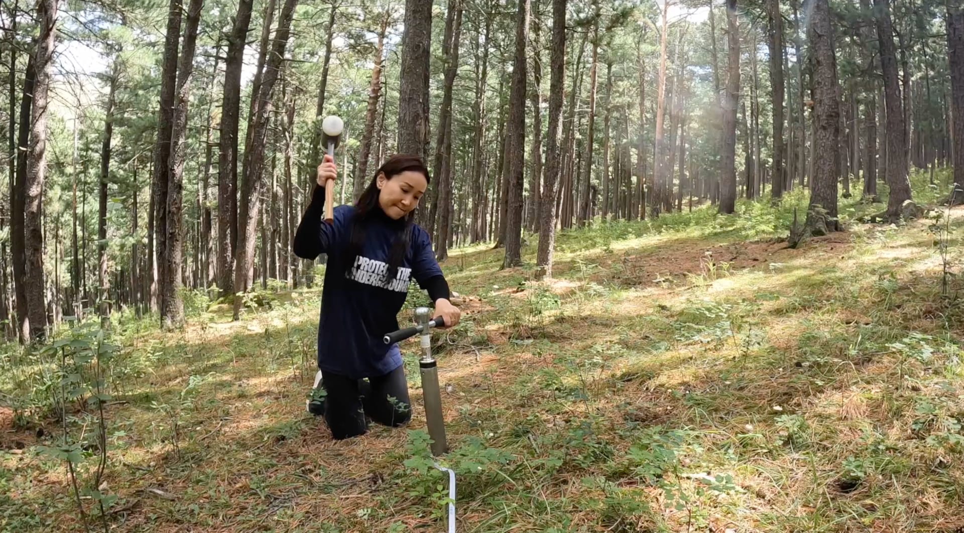 Society For The Protection Of Underground Networks SPUN | Society for the Protection of Underground Networks